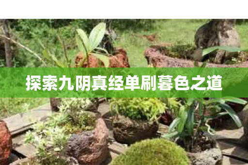 探索九阴真经单刷暮色之道