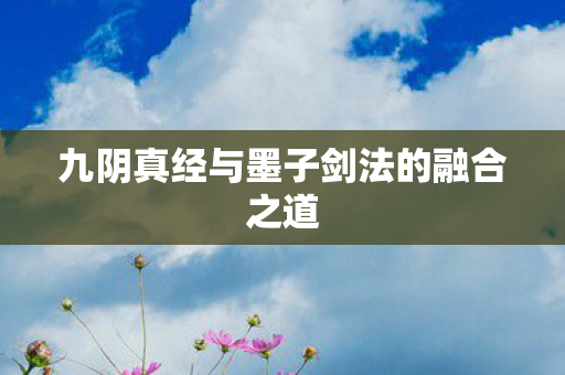 九阴真经与墨子剑法的融合之道