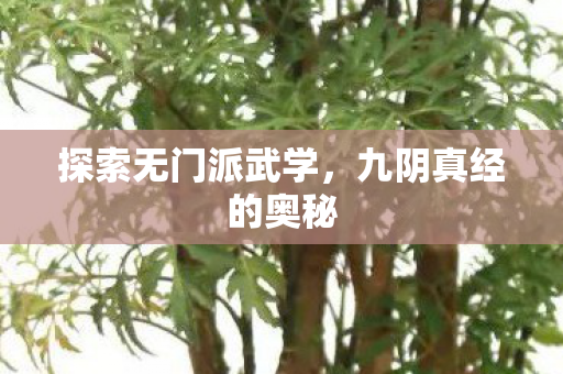 探索无门派武学，九阴真经的奥秘