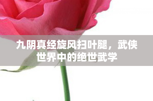 九阴真经旋风扫叶腿，武侠世界中的绝世武学