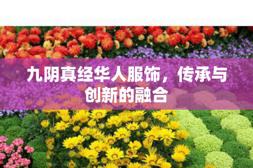 九阴真经华人服饰,传承与创新的融合 九阴真经华人服饰,传承与创新的融合