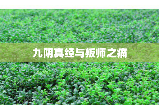 九阴真经与叛师之痛