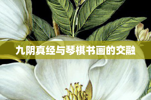 九阴真经与琴棋书画的交融