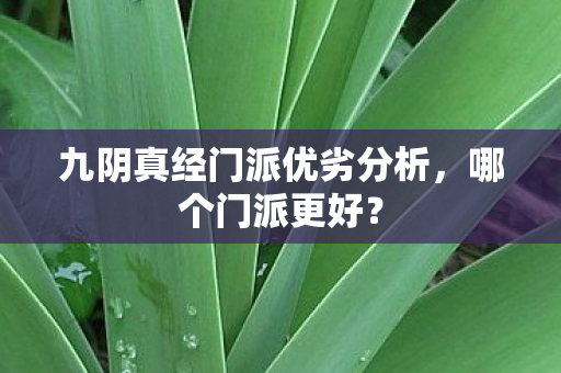 九阴真经门派优劣分析，哪个门派更好？