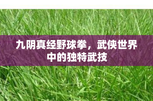 九阴真经野球拳，武侠世界中的独特武技