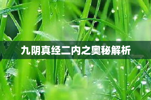 九阴真经二内之奥秘解析