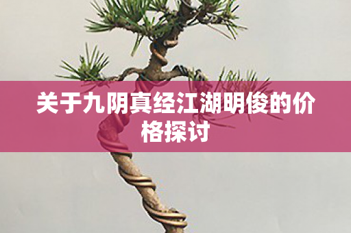 关于九阴真经江湖明俊的价格探讨