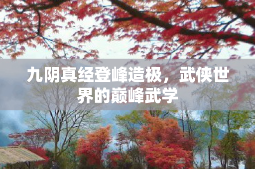九阴真经登峰造极，武侠世界的巅峰武学