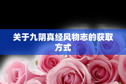 关于九阴真经风物志的获取方式 关于九阴真经风物志的获取方式