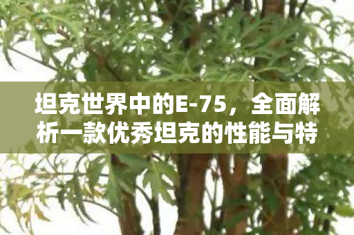 坦克世界中的E-75，全面解析一款优秀坦克的性能与特点