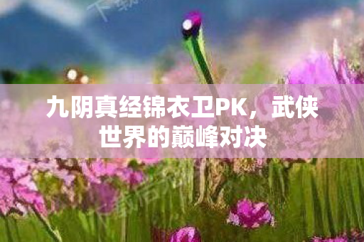 九阴真经锦衣卫PK,武侠世界的巅峰对决 九阴真经锦衣卫PK,武侠世界的巅峰对决