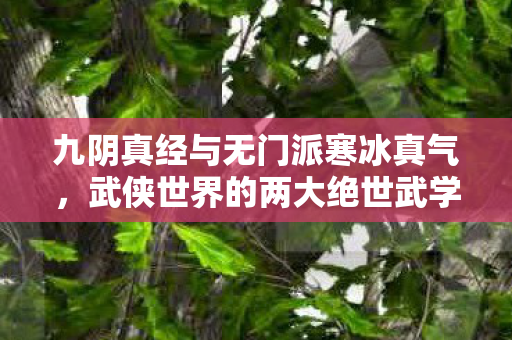 九阴真经与无门派寒冰真气,武侠世界的两大绝世武学 九阴真经与无门派寒冰真气,武侠世界的两大绝世武学