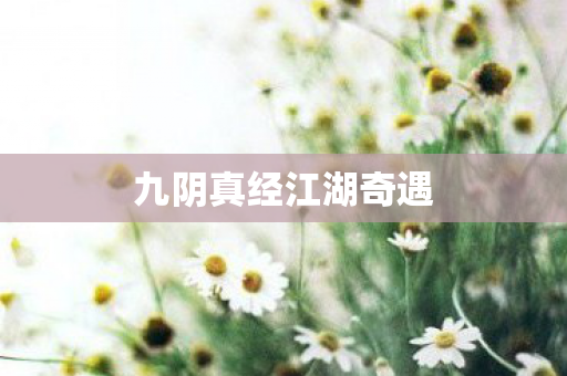 九阴真经江湖奇遇 九阴真经江湖奇遇