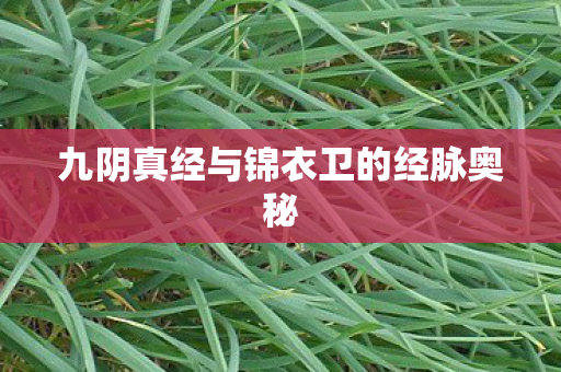 九阴真经与锦衣卫的经脉奥秘