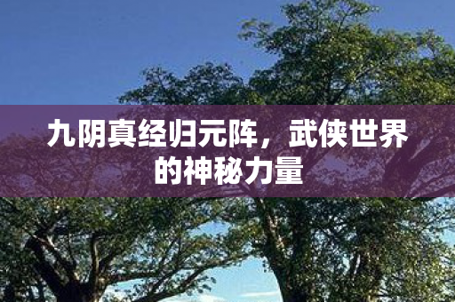 九阴真经归元阵,武侠世界的神秘力量 九阴真经归元阵,武侠世界的神秘力量