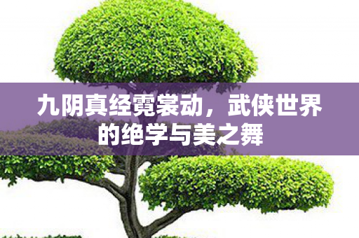 九阴真经霓裳动，武侠世界的绝学与美之舞