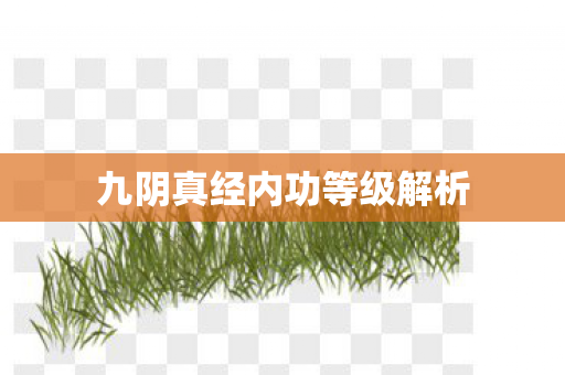 九阴真经内功等级解析