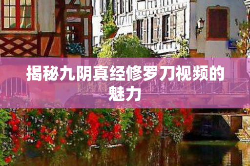 揭秘九阴真经修罗刀视频的魅力
