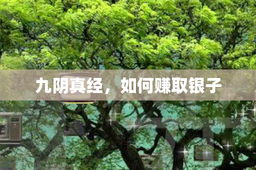 九阴真经，如何赚取银子