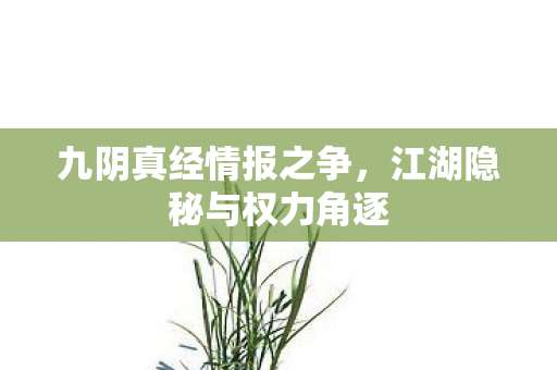 九阴真经情报之争，江湖隐秘与权力角逐