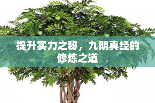 提升实力之秘,九阴真经的修炼之道 提升实力之秘,九阴真经的修炼之道