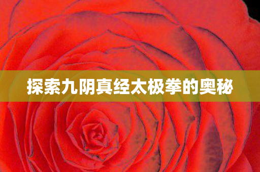 探索九阴真经太极拳的奥秘