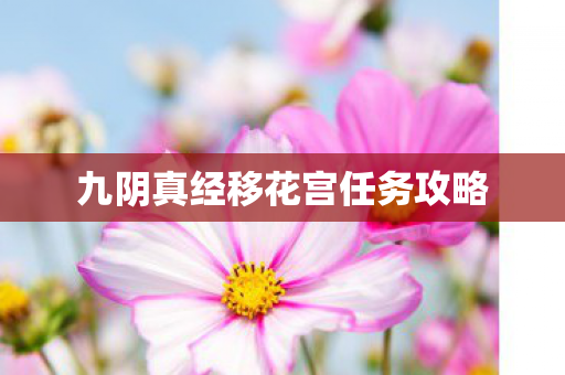 九阴真经移花宫任务攻略