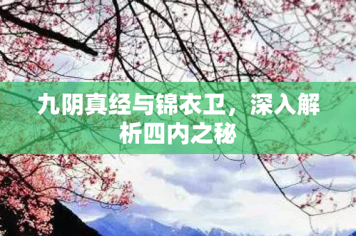 九阴真经与锦衣卫,深入解析四内之秘 九阴真经与锦衣卫,深入解析四内之秘