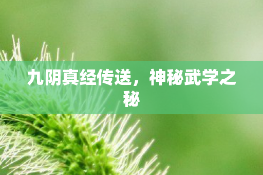 九阴真经传送，神秘武学之秘