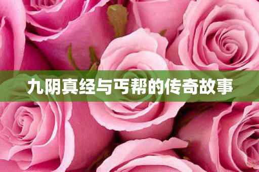 九阴真经与丐帮的传奇故事