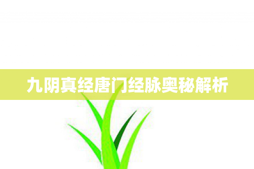 九阴真经唐门经脉奥秘解析