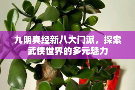 九阴真经新八大门派，探索武侠世界的多元魅力