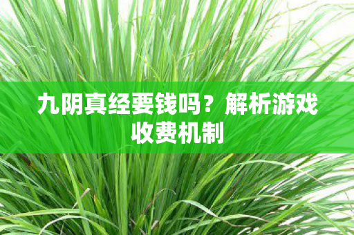 九阴真经要钱吗？解析游戏收费机制