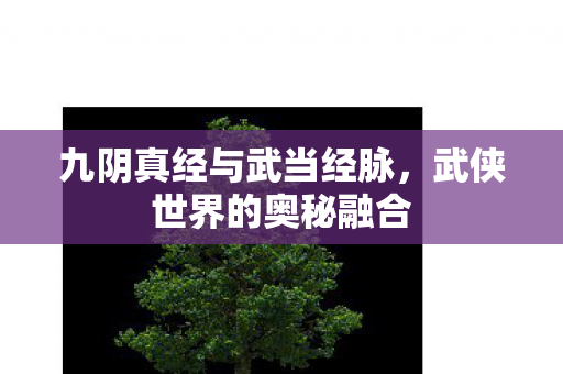 九阴真经与武当经脉，武侠世界的奥秘融合