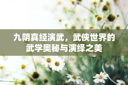 九阴真经演武，武侠世界的武学奥秘与演绎之美