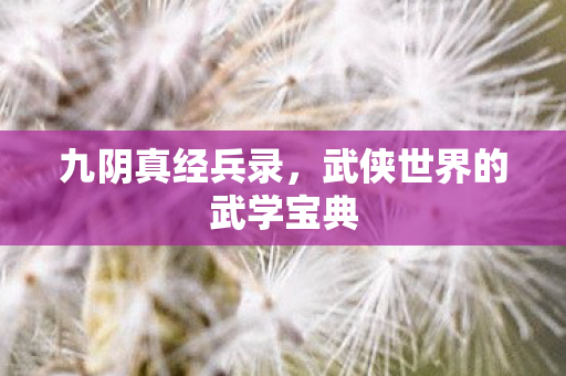 九阴真经兵录，武侠世界的武学宝典
