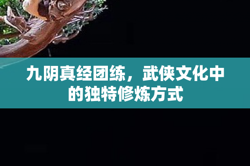 九阴真经团练，武侠文化中的独特修炼方式