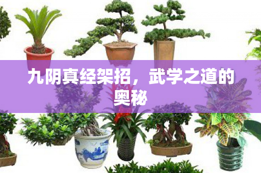 九阴真经架招，武学之道的奥秘