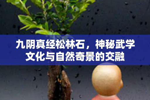 九阴真经松林石，神秘武学文化与自然奇景的交融