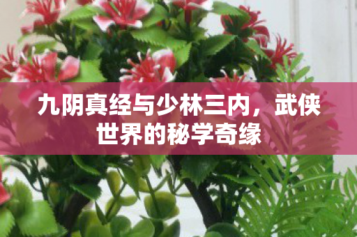 九阴真经与少林三内,武侠世界的秘学奇缘 九阴真经与少林三内,武侠世界的秘学奇缘