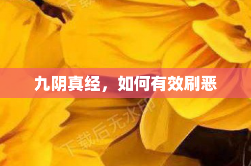 九阴真经，如何有效刷恶