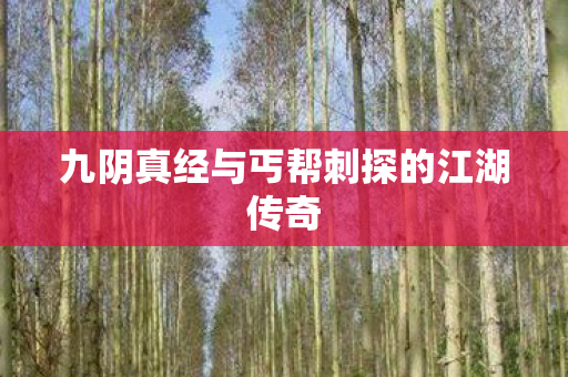 九阴真经与丐帮刺探的江湖传奇
