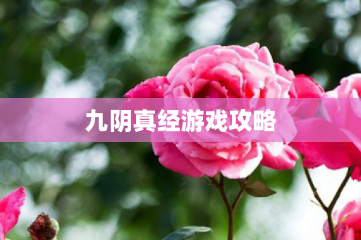 九阴真经游戏攻略