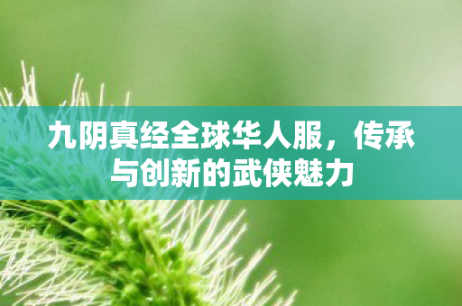 九阴真经全球华人服,传承与创新的武侠魅力 九阴真经全球华人服,传承与创新的武侠魅力