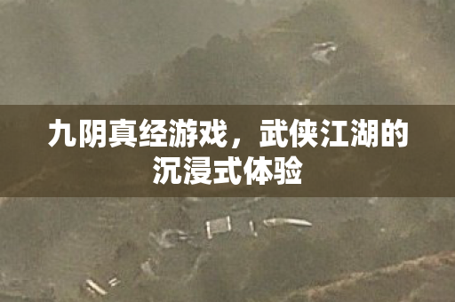 九阴真经游戏,武侠江湖的沉浸式体验 九阴真经游戏,武侠江湖的沉浸式体验
