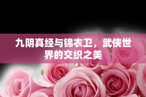 九阴真经与锦衣卫,武侠世界的交织之美 九阴真经与锦衣卫,武侠世界的交织之美