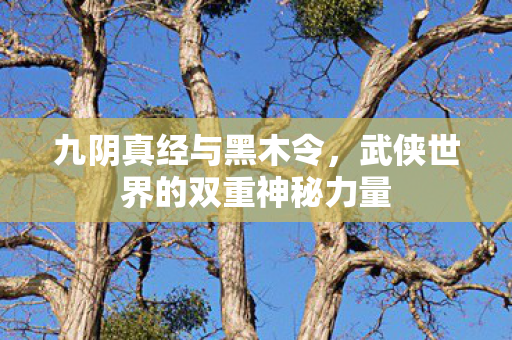 九阴真经与黑木令,武侠世界的双重神秘力量 九阴真经与黑木令,武侠世界的双重神秘力量