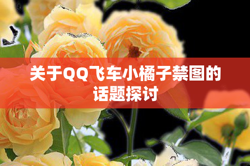 关于QQ飞车小橘子禁图的话题探讨