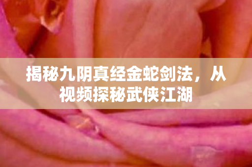 揭秘九阴真经金蛇剑法，从视频探秘武侠江湖
