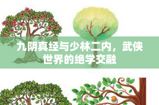 九阴真经与少林二内，武侠世界的绝学交融